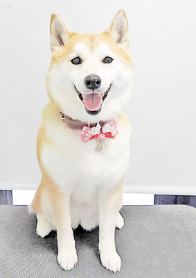 小村ゆずちゃん