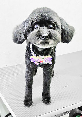 里山こころちゃん