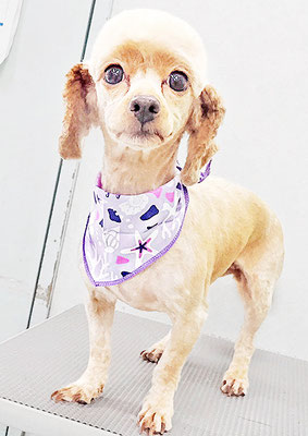 中村てぃーちゃん