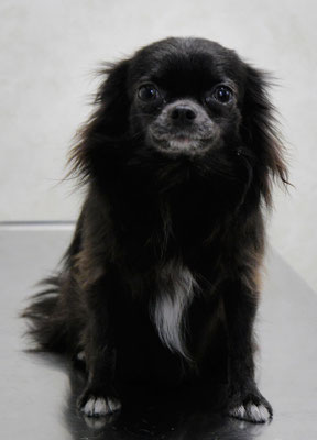 森崎シロちゃん