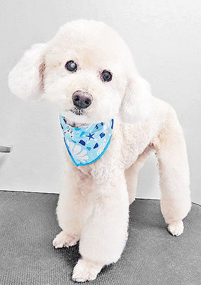 濱村小太郎ちゃん