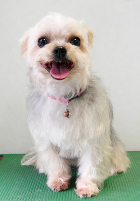 岡元ベリーちゃん