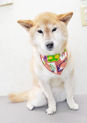 瀧川カルちゃん