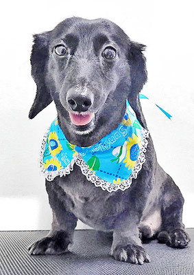 東メロンちゃん