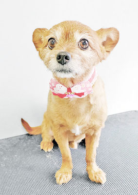 助村ルウちゃん