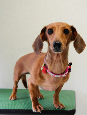 別府モモちゃん