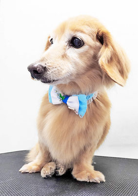 大坪レオちゃん