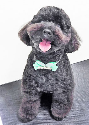 本坊ダノちゃん