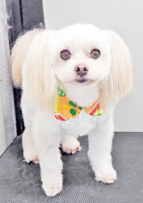 大脇ココアちゃん