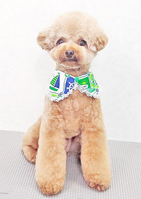 二見りくちゃん