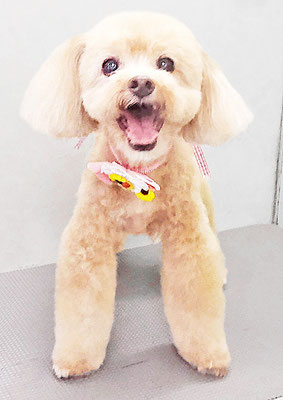 堀内まりもちゃん