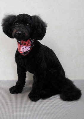 竹内すみれちゃん