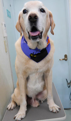 平松マックスちゃん