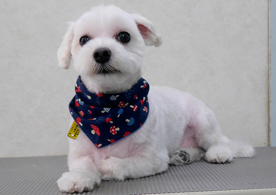 山口フウタちゃん