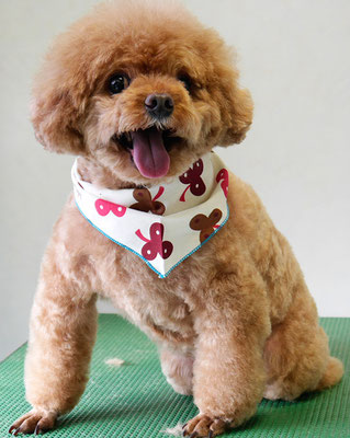 佐藤クルミちゃん