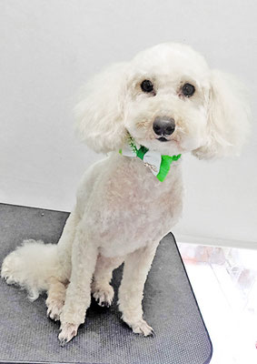 時任マロンちゃん