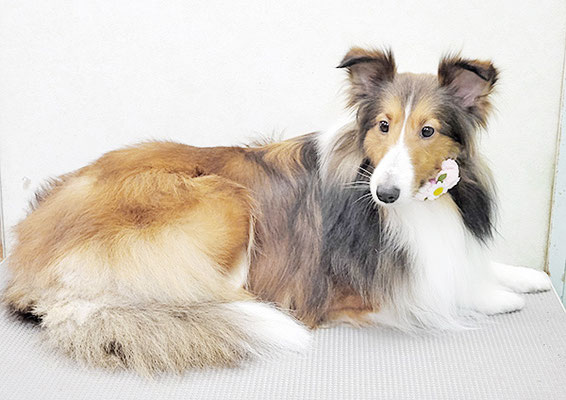 國生レイラちゃん