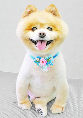 中間小次郎ちゃん