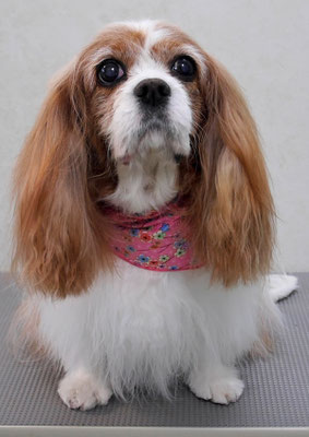 福留ジルちゃん