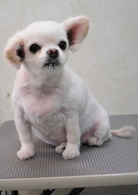 森崎ヒメちゃん