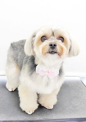 有馬まりんちゃん