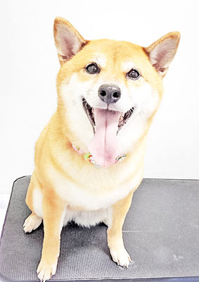 森下むぎちゃん