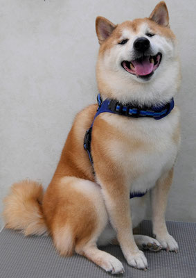 竹崎クウちゃん