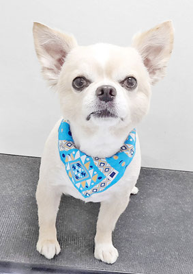 林レオンちゃん