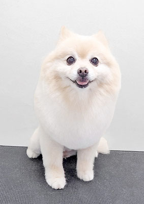 徳留クマちゃん