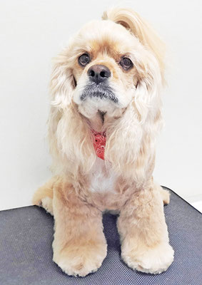 高尾ミルクちゃん