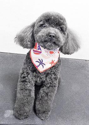 石田おはぎちゃん