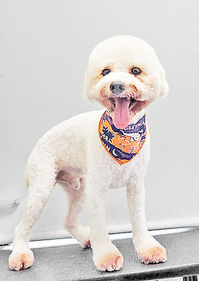 石元ぽちゃちゃん