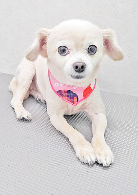 酒井ヒナちゃん