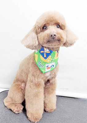 台場モコちゃん