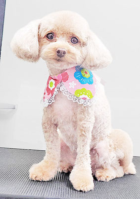 岩元ナノちゃん