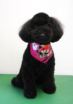 本坊ダノちゃん