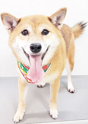 森下むぎちゃん