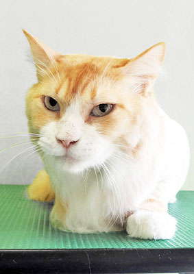 荒木レオちゃん