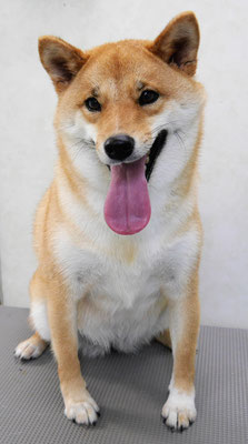 森崎アズキちゃん