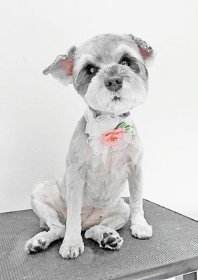 新田つむぎちゃん