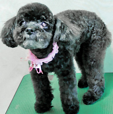 中井ヒナちゃん