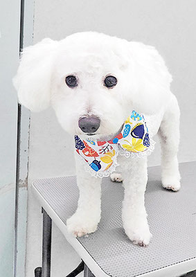 川西ズン太ちゃん