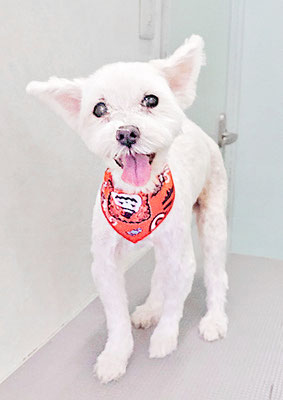 福元ミルクちゃん