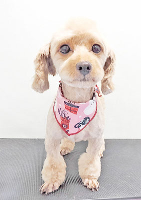 中村てぃーちゃん