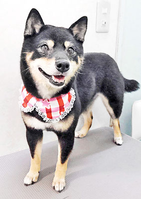岩﨑妃ちゃん