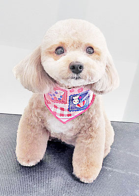 丸山小琴ちゃん