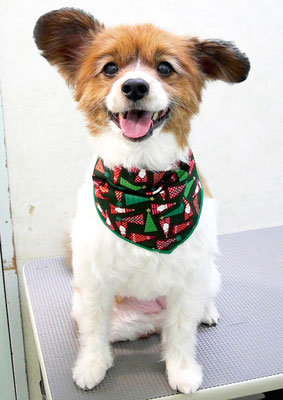 玉利ゆずちゃん