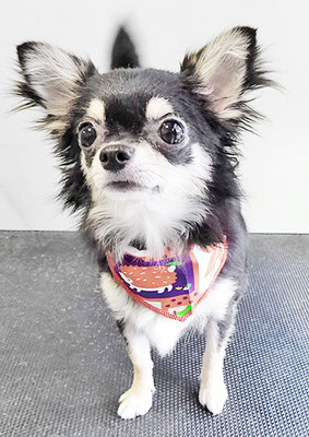 岩元ココちゃん