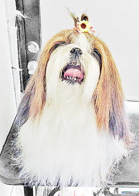 眞邉モモちゃん