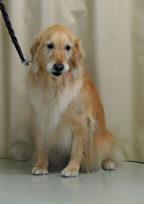 美代ジューンちゃん